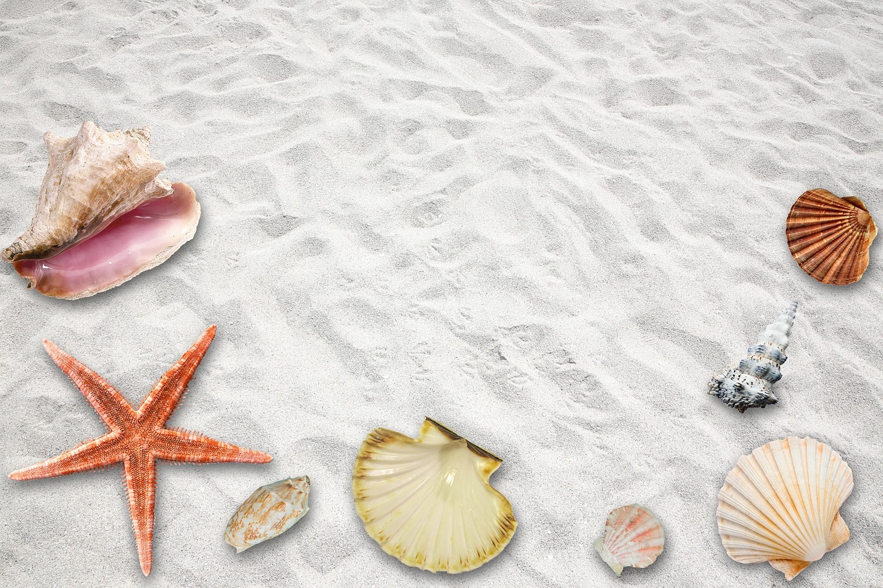 淮安棚改最新动态,城市更新与居民安居的双赢战略之安置消息