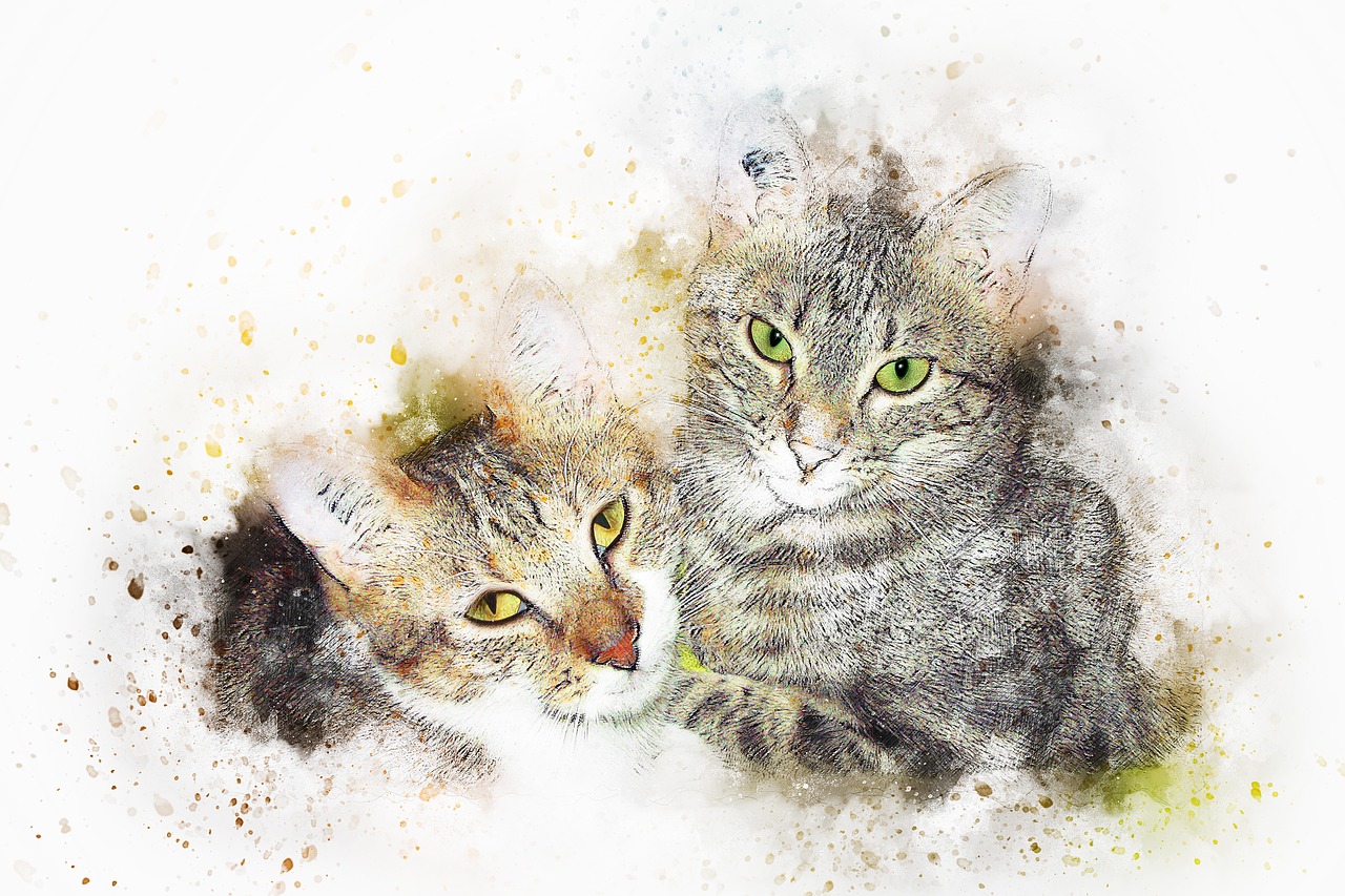 跨越时空的情感纠葛，楚昭阳顾念最新章节猫