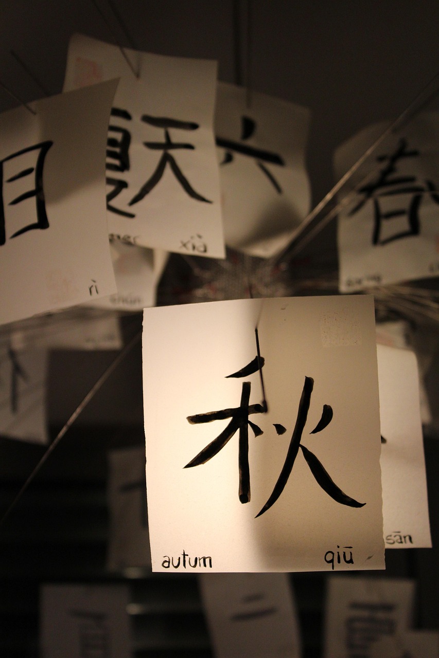 华夏书法魅力展现，最新中国书法家大赛传承与创新之旅