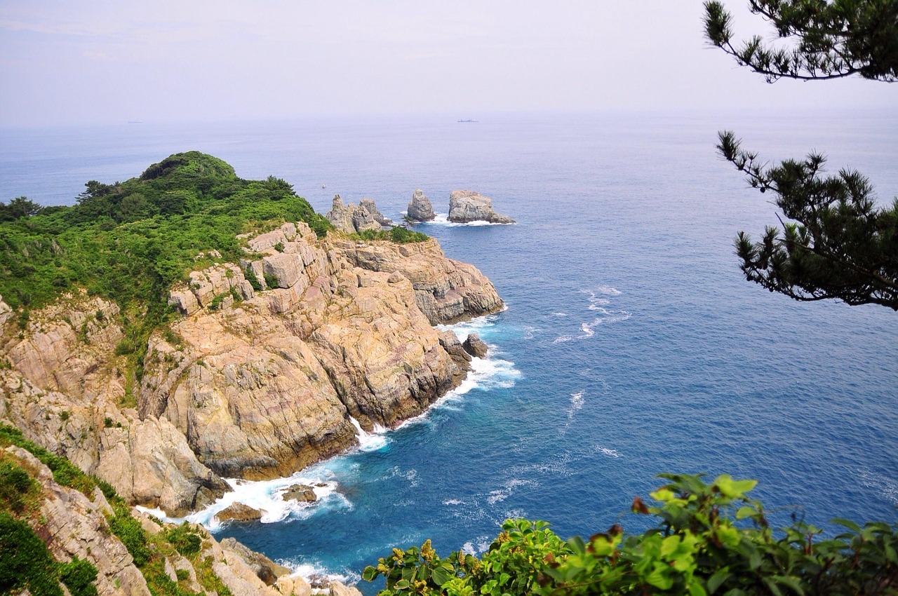 最新赴韩旅游动态，探索韩国魅力的无限之旅